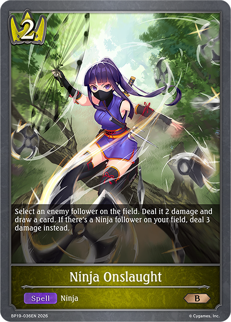 Ninja Onslaught