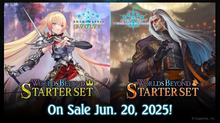 Worlds Beyond Swordcraft Starter Set