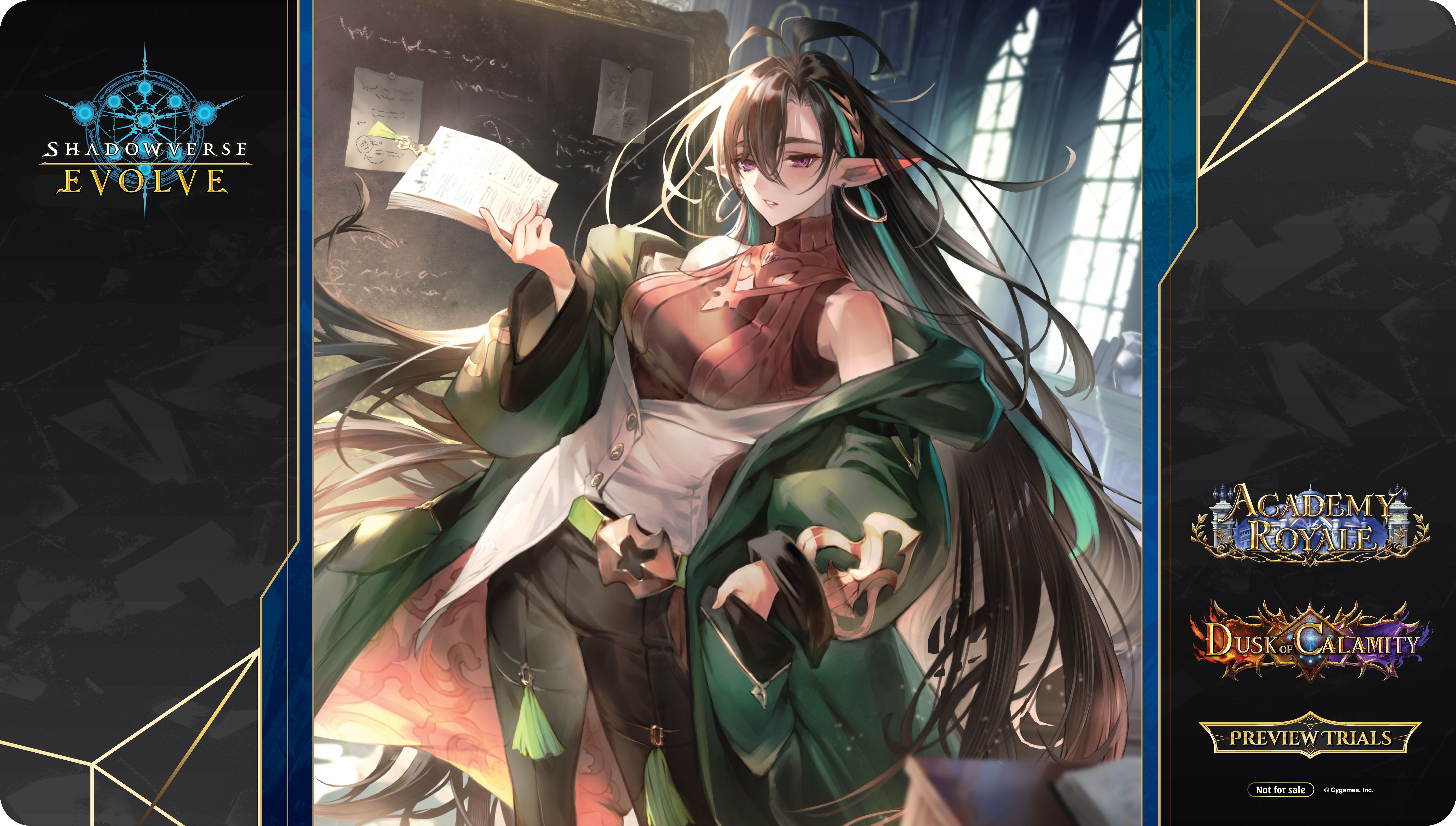 Champion Playmat
